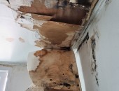 silder_img7
